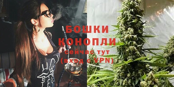 МДПВ Новозыбков
