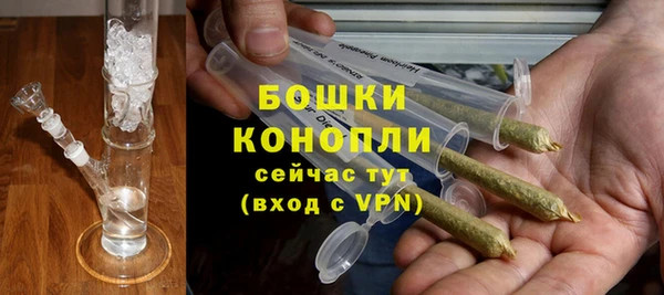 МДПВ Новозыбков