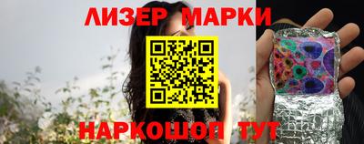 2c-b Кингисепп