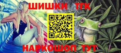 2c-b Кингисепп
