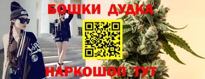 2c-b Кингисепп