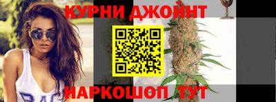 гашик Бийск