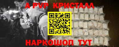 2c-b Кингисепп