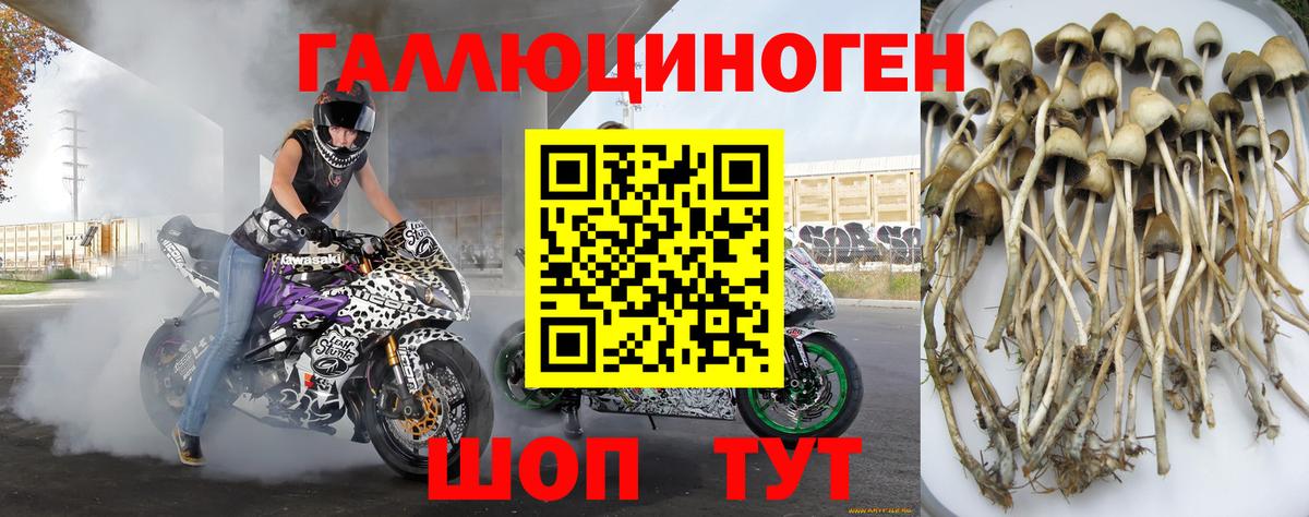 Галлюциногенные грибы Magic Shrooms Ярцево