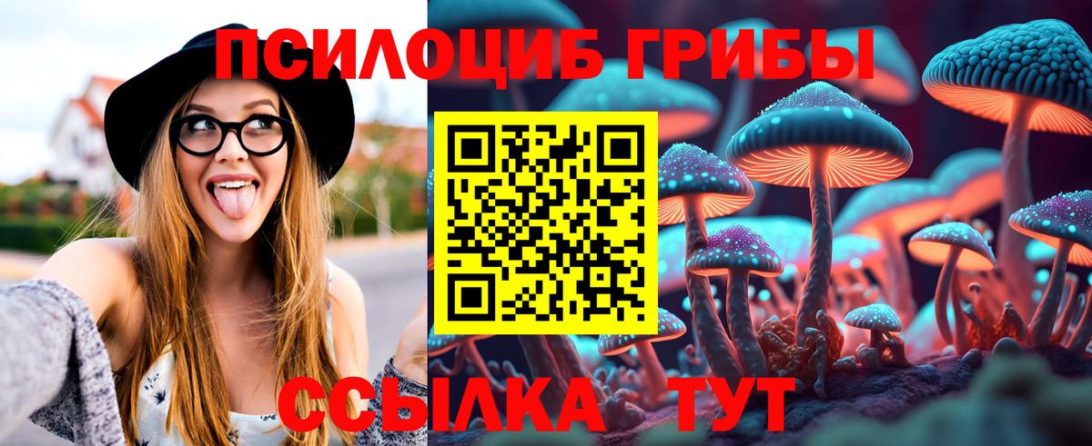 Псилоцибиновые грибы мухоморы Ярцево
