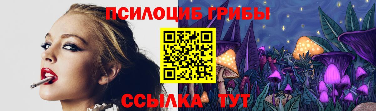 Псилоцибиновые грибы MAGIC MUSHROOMS  Псилоцибиновые грибы Psilocybe  магазин продажи   Ярцево 