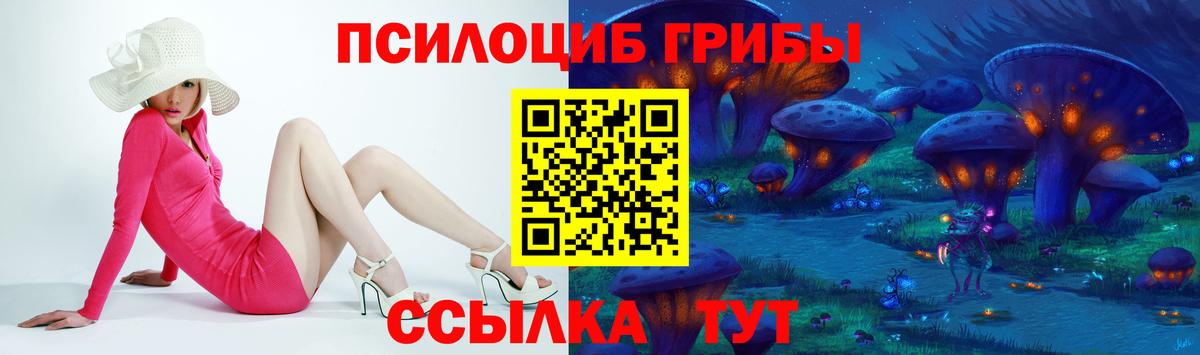 Ярцево  Псилоцибиновые грибы прущие грибы  Вход с VPN 